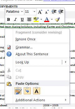image of word document grammar check