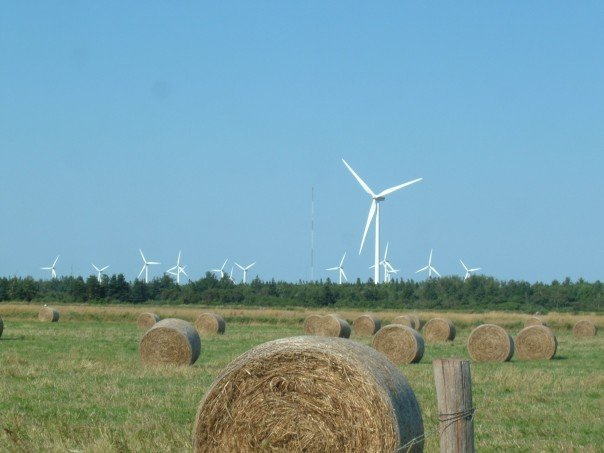 Windmills in field